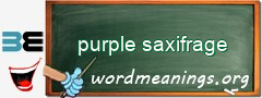WordMeaning blackboard for purple saxifrage